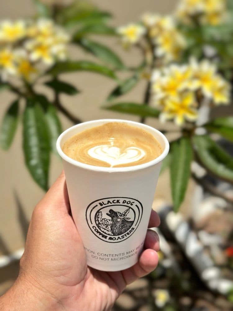 Black Dog Coffee Roasters — Signal Hill