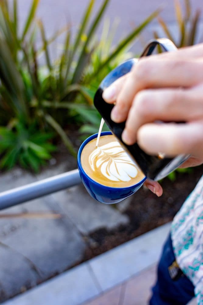 Endless Quest Roasters — Laguna Beach