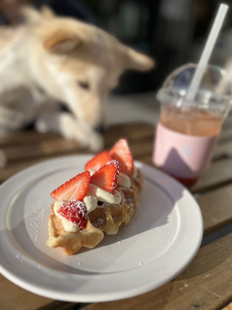 In-sīt Coffee — Buena Park